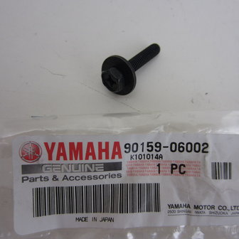 Yamaha YZF R6 koppelingsbout M6