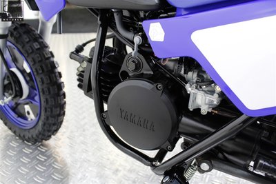 YAMAHA PW50
